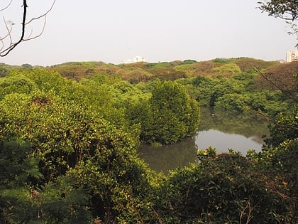 mangalavanam bird sanctuary kochi