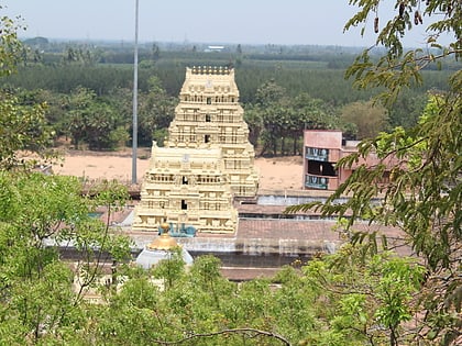 devanathaswamy temple cuddalore
