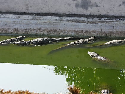 Neyyar Wildlife Sanctuary