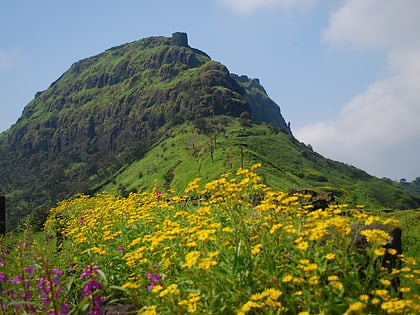 Rajgad