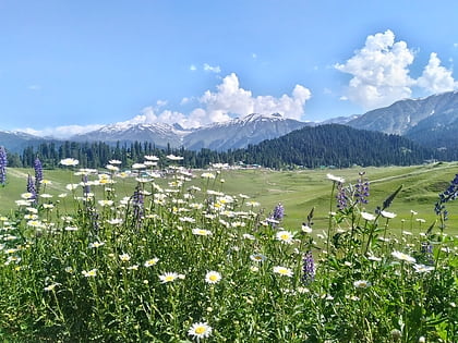 Santuario de vida silvestre Gulmarg