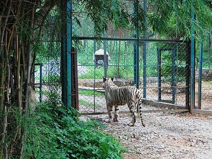 parc national de bannerghatta