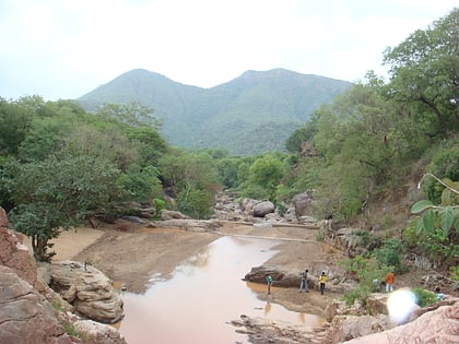 Amirthi Zoological Park