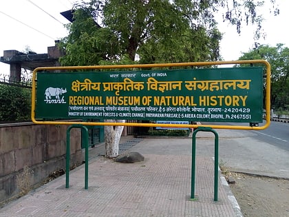 regional museum of natural history bhopal
