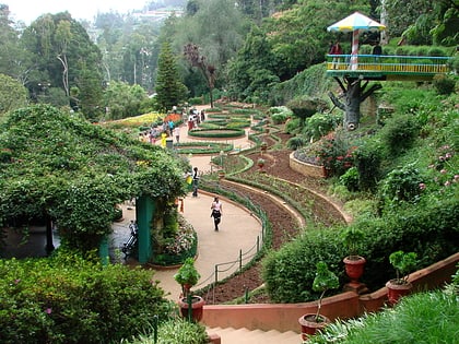 botanical gardens udagamandalam