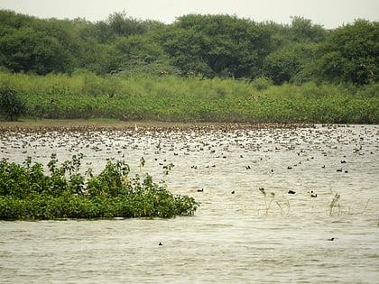 karaivetti bird sanctuary