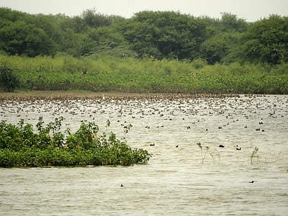 Karaivetti Bird Sanctuary