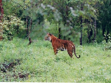 sanktuarium dzikiej przyrody bhadra