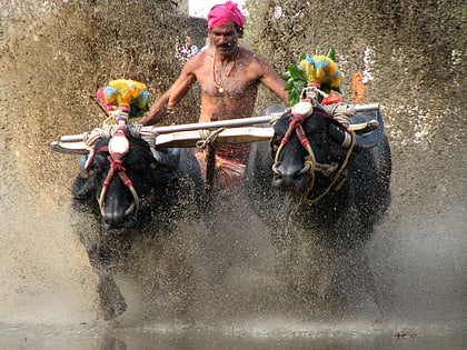 kadri mangalore