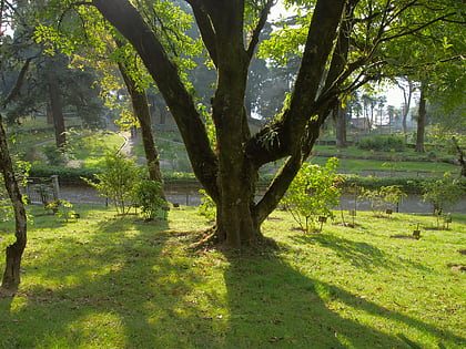 nightingale park shrubbery park dardzyling