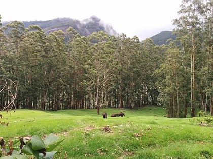 parque nacional indira gandhi