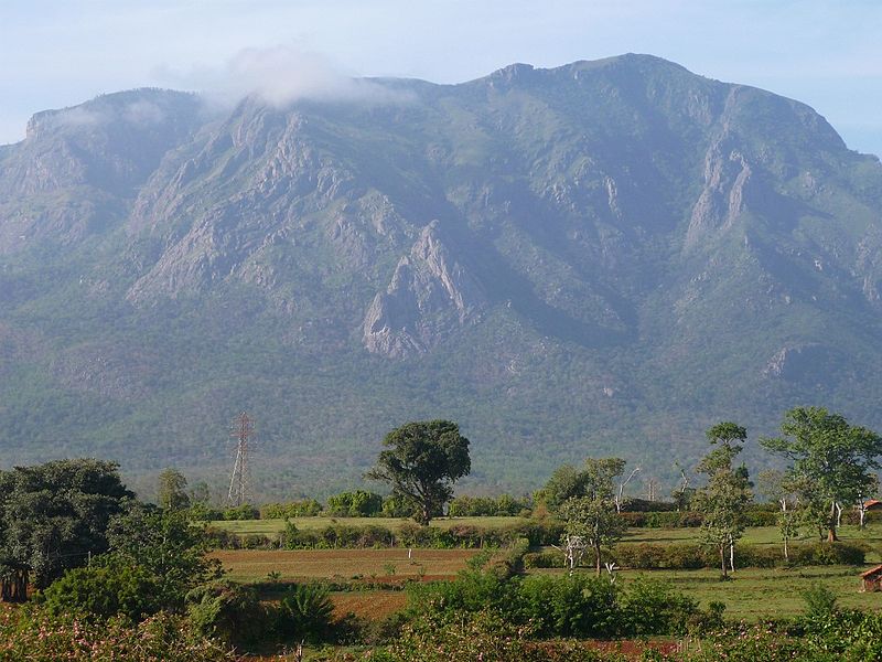 Nilgiri mountains