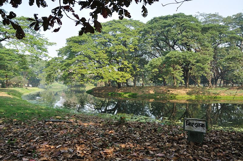 Jardín botánico de Calcuta