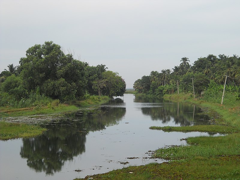 Thrissur-Ponnani Kole Wetlands