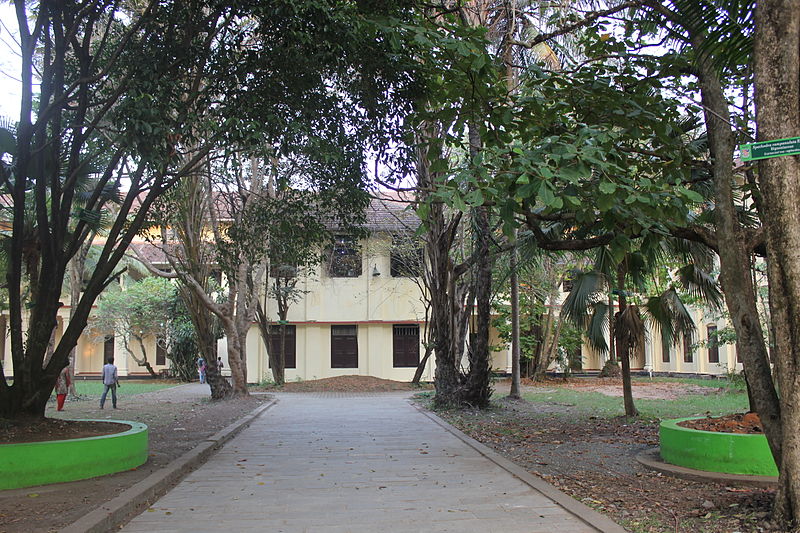 Maharaja's College