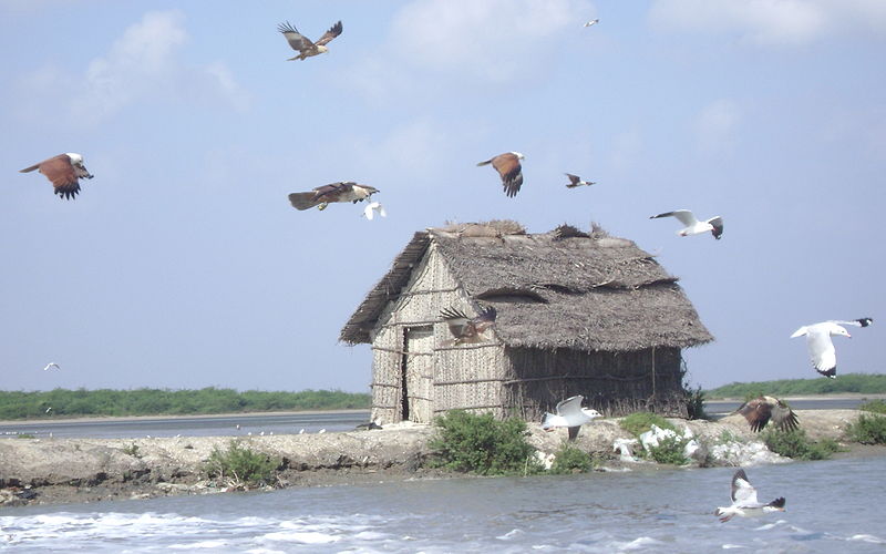 Point Calimere Wildlife and Bird Sanctuary