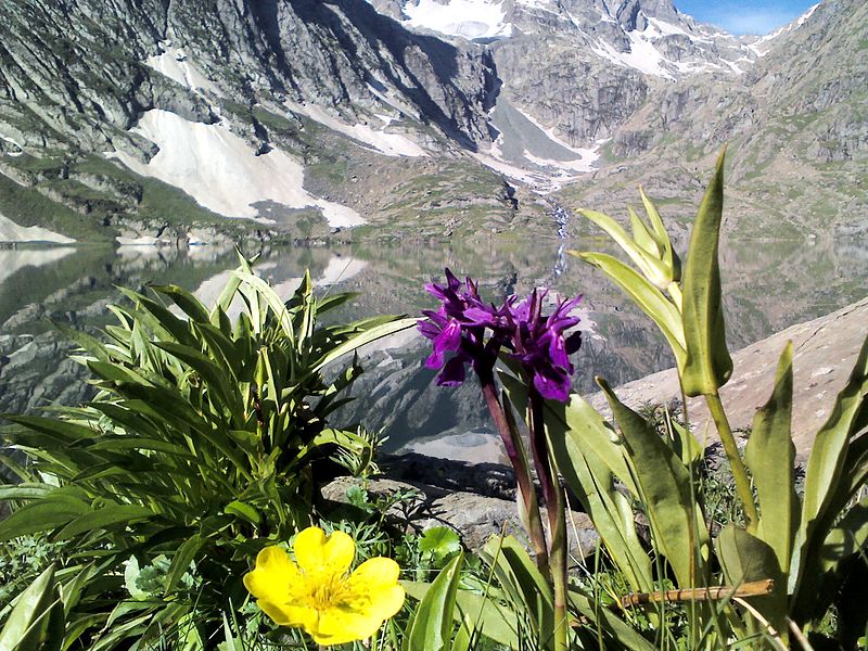 Vishansar Lake