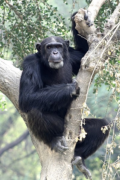 Kanpur Zoological Park