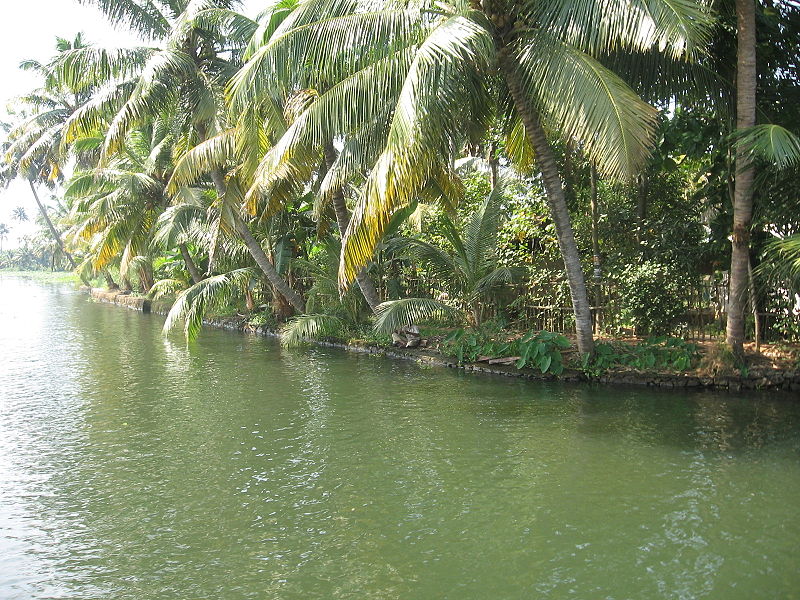 Backwaters