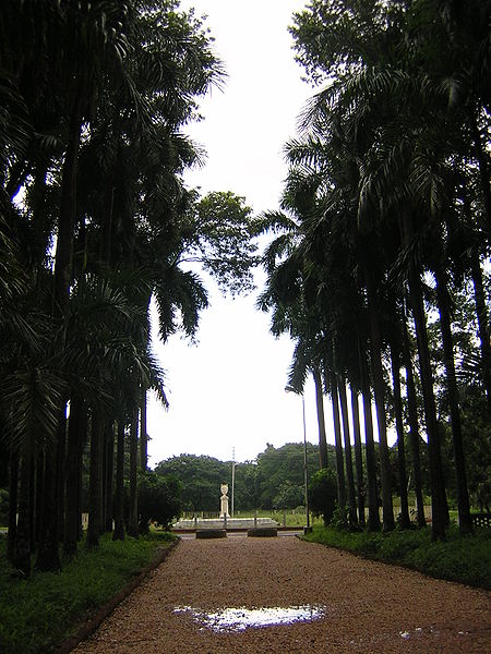 Jardin botanique indien