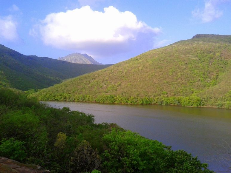 Willingdon Dam