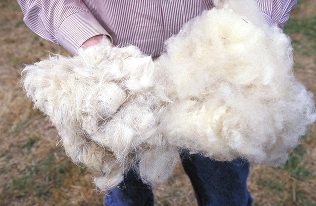 Central Sheep and Wool Research Institute