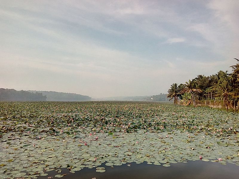 Vellayani Lake