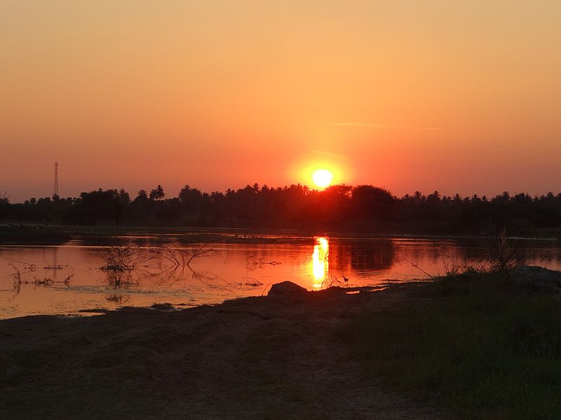 Vellode Birds Sanctuary