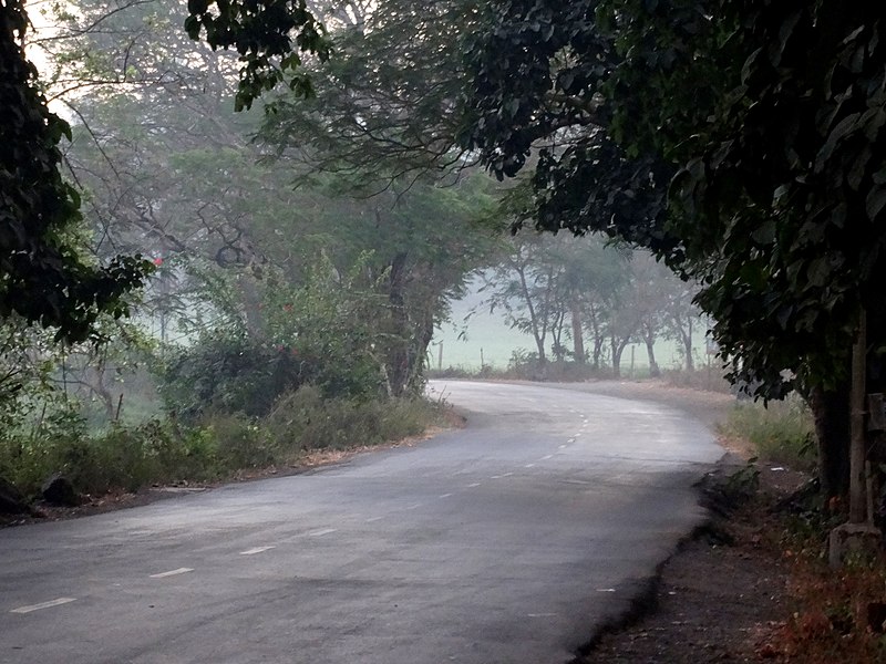 Aarey Milk Colony