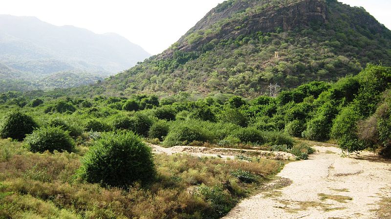 Parque nacional Indira Gandhi