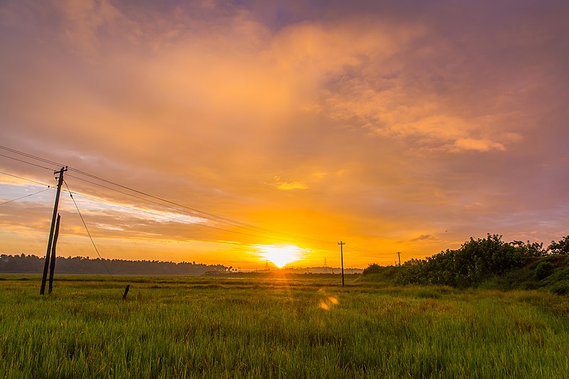 Thrissur-Ponnani Kole Wetlands