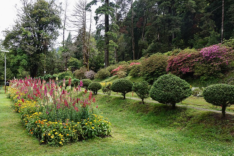 Jardin botanique de Darjeeling