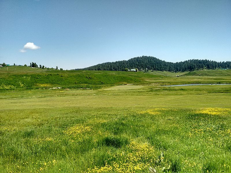 Gulmarg Wildlife Sanctuary