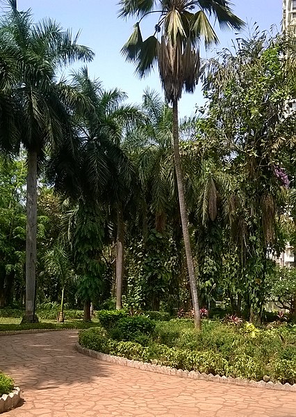 Colaba Woods, Mumbaj