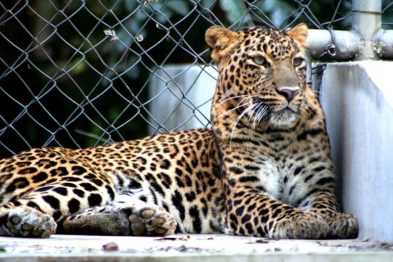 Kanpur Zoological Park