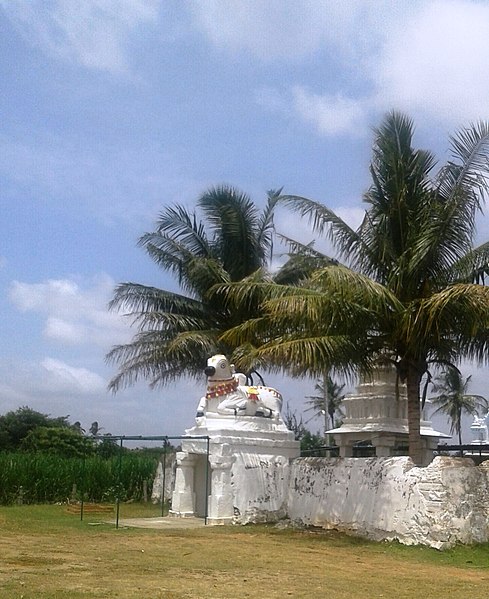 Channarayapatna