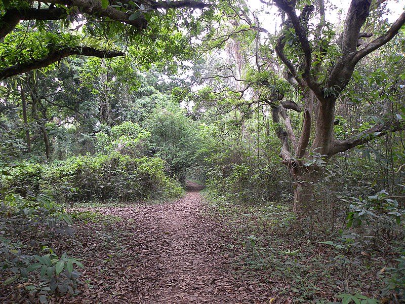 Chintamoni Kar Bird Sanctuary