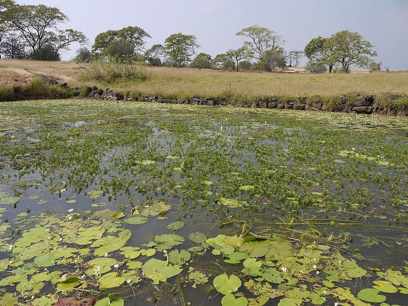 Sudhagad