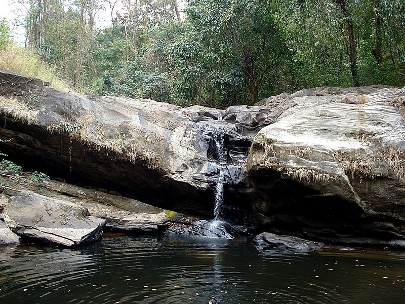 Chimmini Wildlife Sanctuary