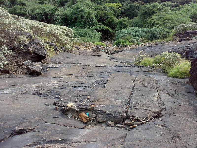 Pushpagiri Mountain