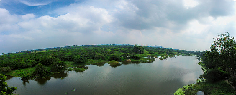 Vedanthangal Bird Sanctuary