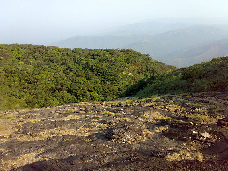 Pushpagiri Mountain