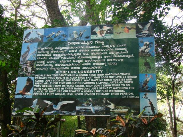 Sanktuarium Ptaków Ranganathittu