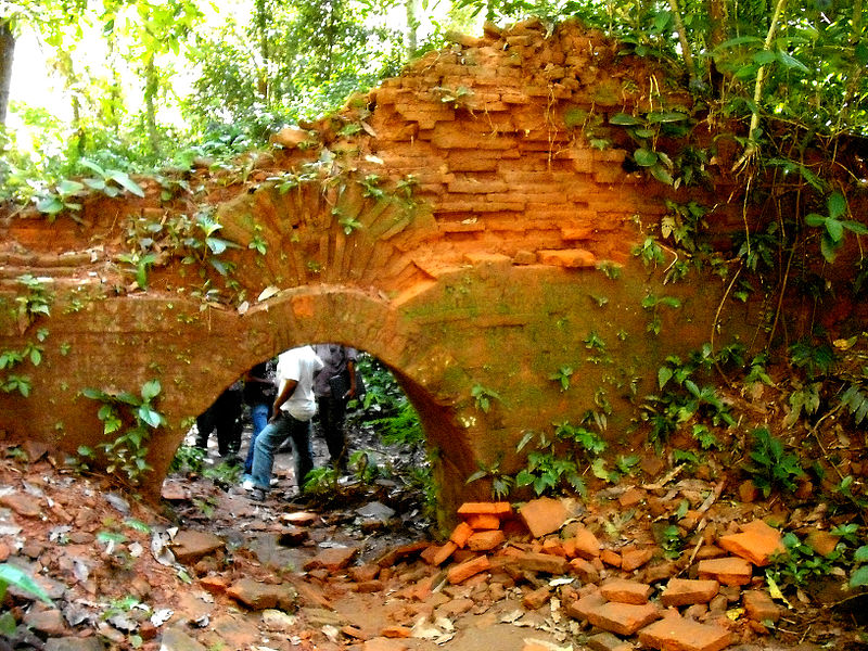 Bosque de Chilapata