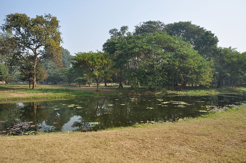 Jardín botánico de Calcuta