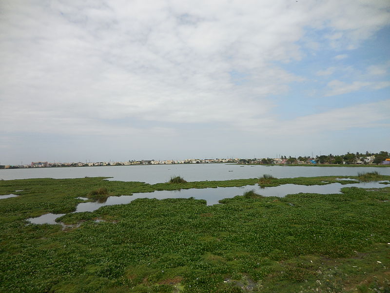 Ambattur Lake