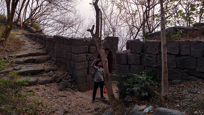 Dronagiri Fort