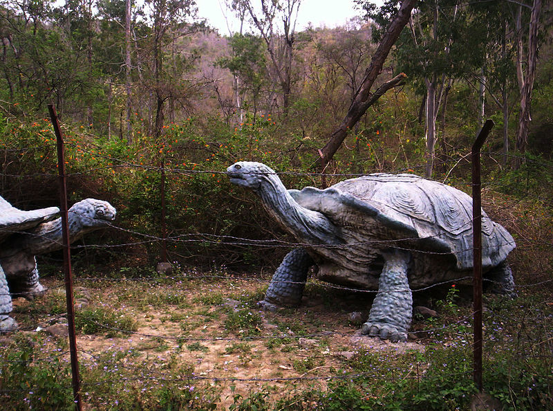 Shivalik Fossil Park