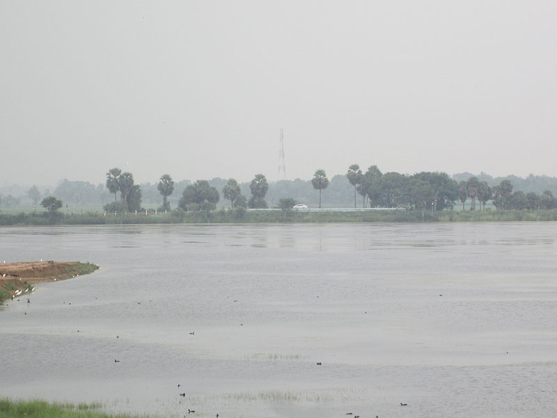 Vaduvoor Bird Sanctuary