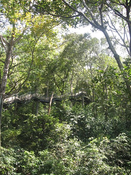 Agasthyamala Biosphere Reserve